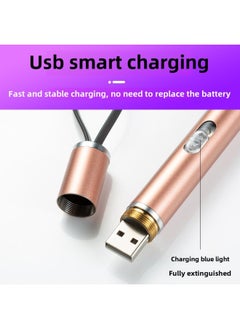 Generic Rechargeable Laser Three-in-one Infrared Money Detector Flashlight Purple Laser Pointer-Product Specifications:Silver Three-in-one Money Detector Light  - Image 3