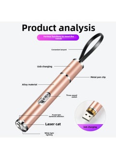 Generic Rechargeable Laser Three-in-one Infrared Money Detector Flashlight Purple Laser Pointer-Product Specifications:Silver Three-in-one Money Detector Light  - Image 5