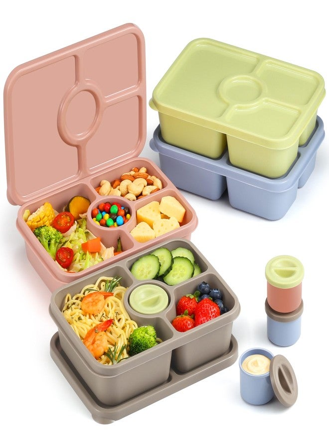 shell and turtle Bento Snack Box Containers, Reusable Meal Prep Lunch Containers for Adults Kids, Stackable Bento Snack Box 4 Pack, Divided Lunchable Food Storage Containers with Sauce Container, Earthy Brown - Image 1