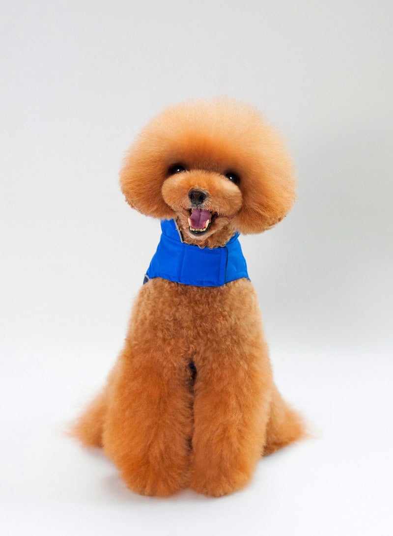 A pet dog wears a coat and a hat Blue - Image 1