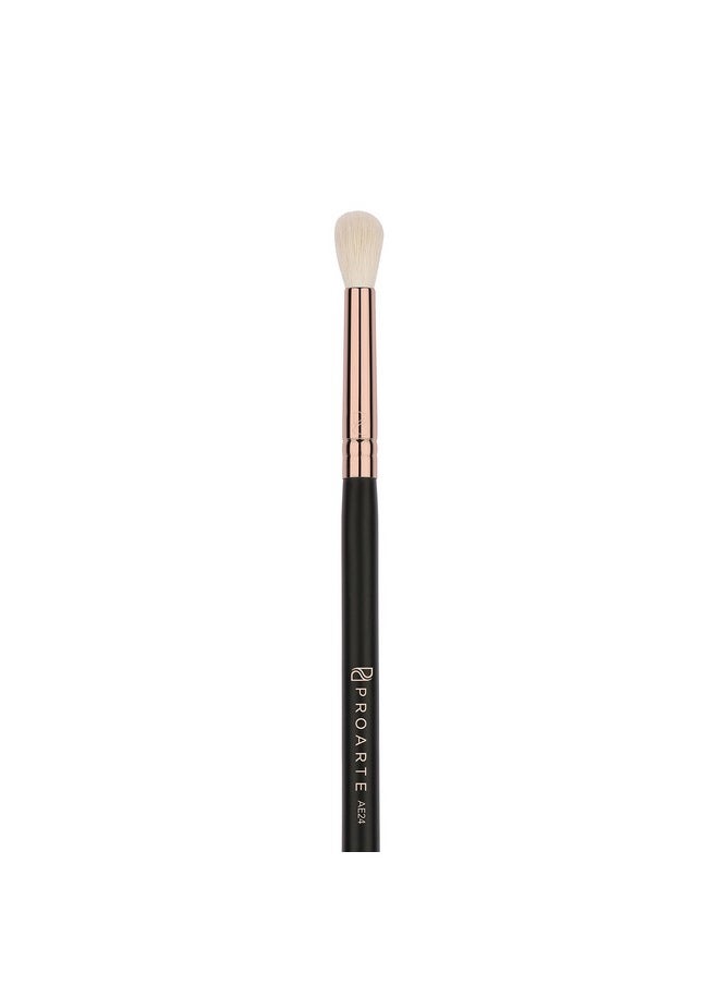 PROARTE Eye Blender Brush, Black, 100 G 