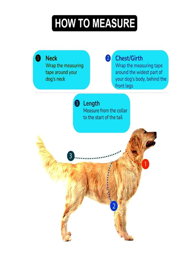 ZippyPaws Ultra Luxury Winter Jacket for Dogs - 16 Inch Size with Cozy Fur Collar (Color May Vary) - Super Warm and Stylish Canine Outerwear - Image 5