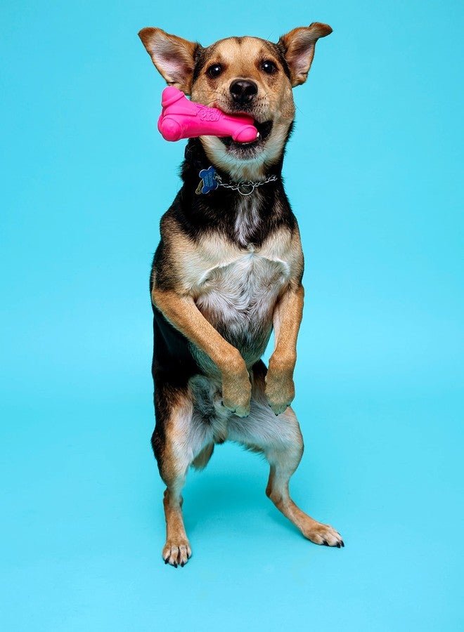 هارتز لعبة هارتز ديورا بلاي العظمية المطاطية الصريرية للكلاب الصغيرة، عبوة من 3 قطع - Image 5