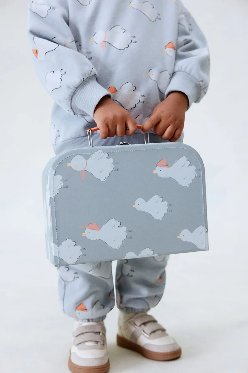 اتش اند ام Cardboard suitcase