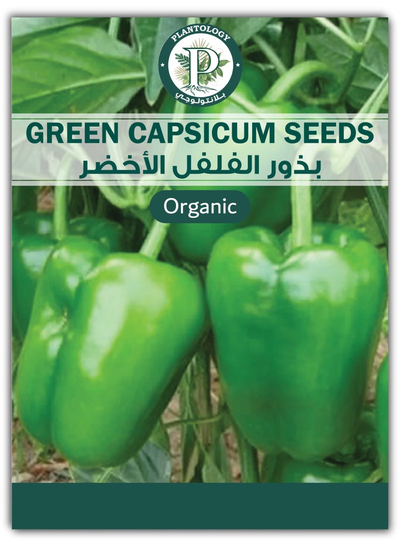 Capsicum Seeds for Planting - Green Capsicum Seeds - Image 1