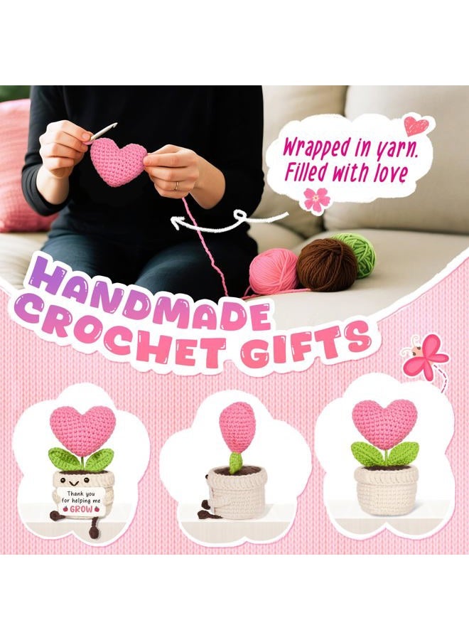 AceThrills Crochet Pink Heart Plant Gift (Teacher) - Image 3
