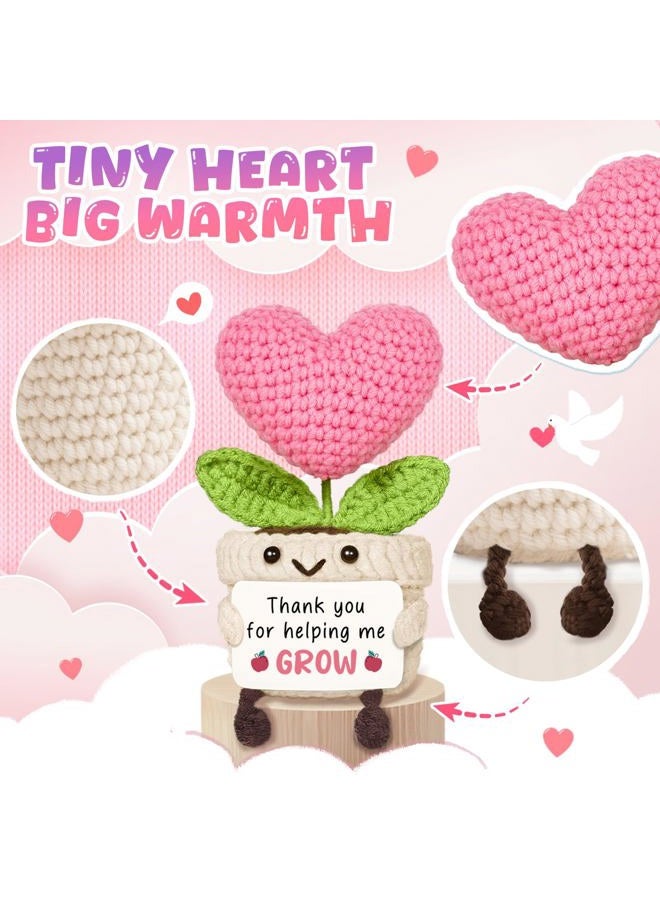 AceThrills Crochet Pink Heart Plant Gift (Teacher) - Image 4