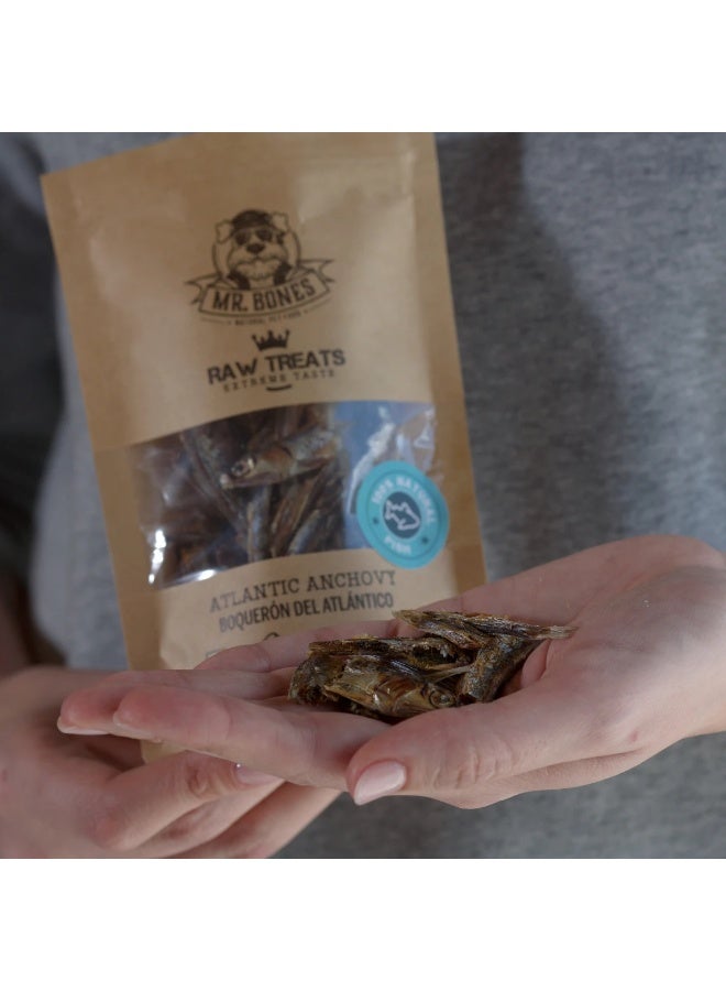 Mr. Bones Raw Treats Anchovy – Natural snack for dogs and cats - Image 2