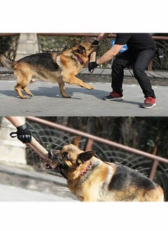 Excefore Dog Pull Toy, Tug-of-War Dog Rope Toy, Dog Pull Toy, for Chewing Indestructible Dog Toothbrush  - Image 4