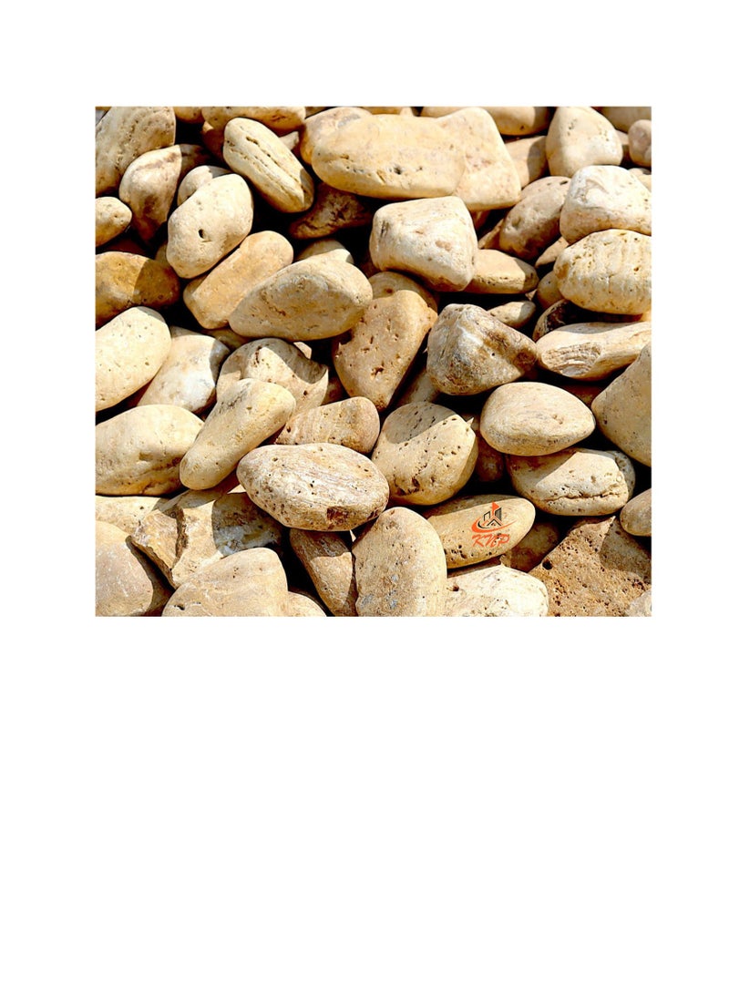 KNP Yellow Forest River Stone Natural Garden Material 3-5 cm 10 kg - Image 1