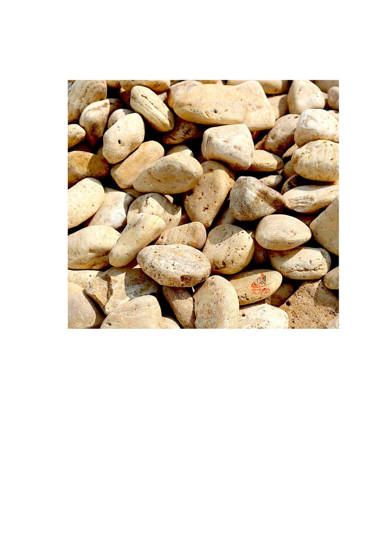 KNP Yellow Forest River Stone Natural Garden Material 3-5 cm 10 kg - Image 3