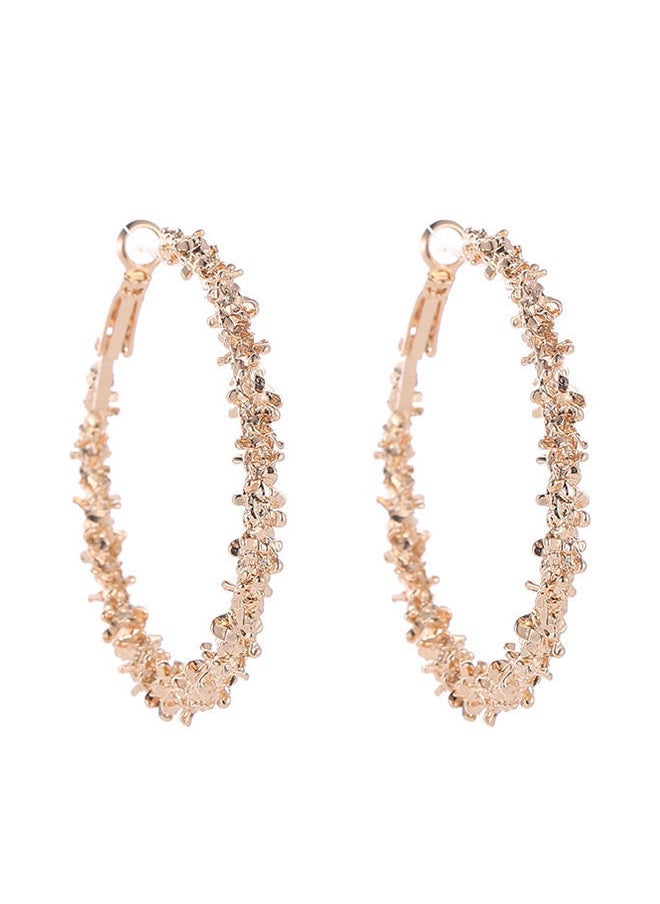 NIBEMINENT - Alloy Elegant Hoop Earrings - Image 1