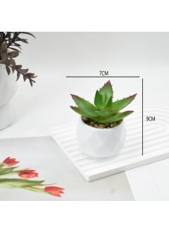 Polygonal aloe vera + plastic diamond basin