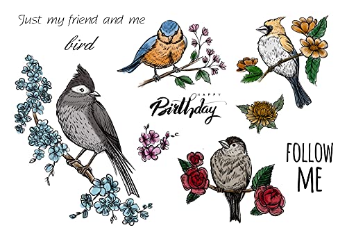 Threetols Birds Flowers Birthday Clear Stamps for Card Making Scrapbooking and Words Transparent Stamps Silicone Stamps Photo Album Decor Decoration and DIY Scrapbooking - Image 3