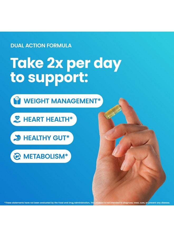 Ultimate Berberine Phytosome for Healthy Weight Management - 9.6X Absorption with Dual Action Formula - For Metabolism, Gut Health, Immunity & Cholesterol Support - 1000mg Clinically Proven Supplement - Image 3