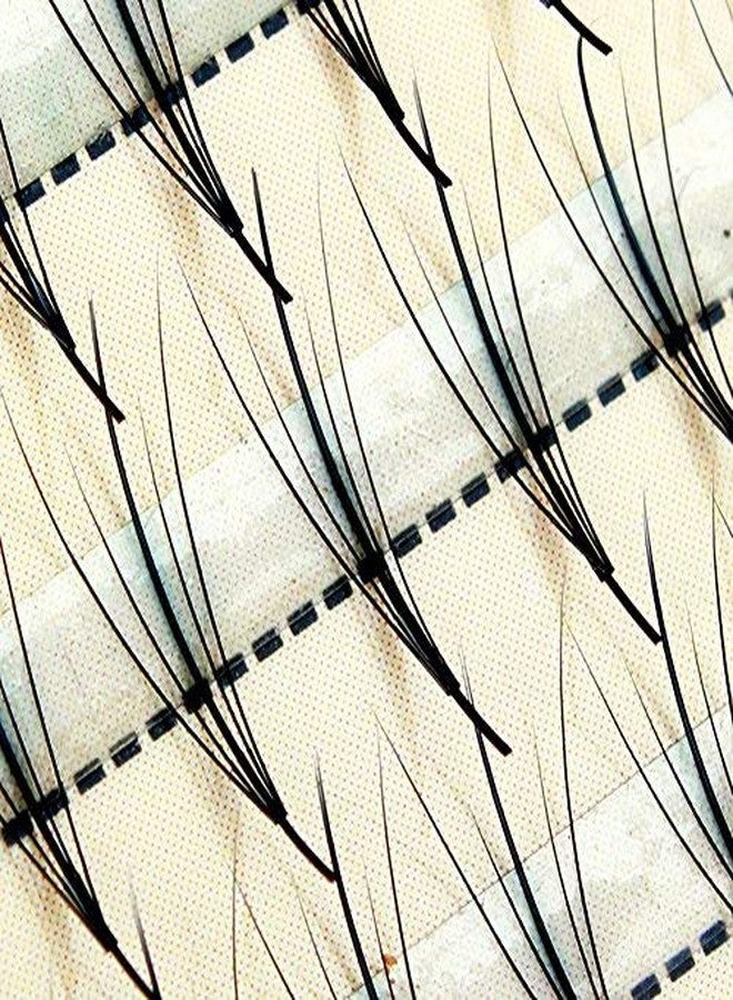 BODERMINCER 8-16mm to Choose Professional Grafting Eyelashes C Curl 5 Root Thickness 0.07 3D Eyelash Extensions Individual Lashes Pre-made Fans Lash Natural Style (16mm) - Image 2