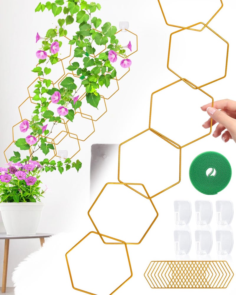sousac 18 Pcs Chain Trellis for Climbing Plants, Potted Houseplant Accessories for Hoya, Ivy, Monstera, 6-Corner DIY Wall Trellis Plant Support with Hooks and Ties Indoor Outdoor(Gold) - Image 1