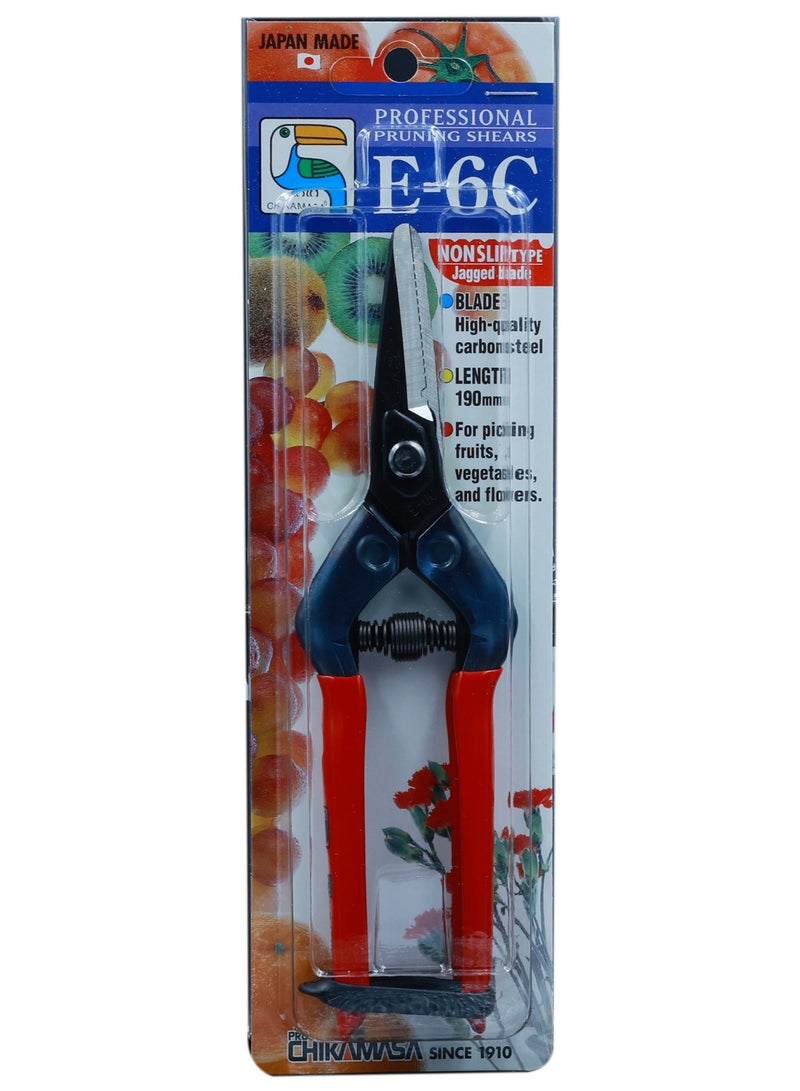 Chikamasa Professional Flowers & Vegetables Scissor - Shear E-6C Made in Japan - Image 2