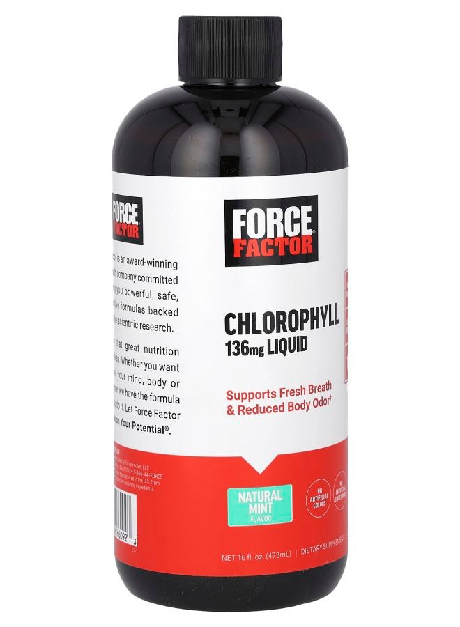 Force Factor Chlorophyll Liquid Natural Mint 136 mg 16 fl oz (473 ml) (136 mg per 2 Tbsp) - Image 2