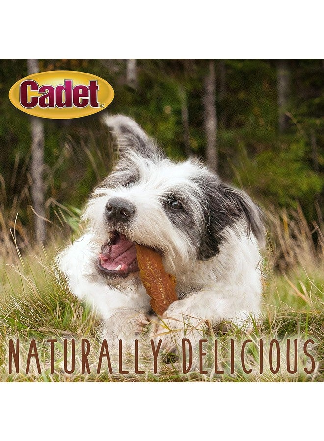 Cadet Chicken Breast Jerky Dog Treats, 28 Ounces Per Bag (2 Pack) - Image 5