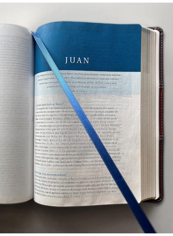 Biblia de estudio Swindoll NTV, SentiPiel, Café/Azul/Turques  - Image 2