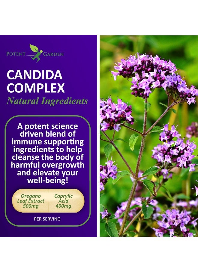 بوتنت جاردن مجمع Potent Garden Candida - مزيج من حمض الأوريجانو وحمض الكابريليك، مجمع توازن نباتات الأمعاء، صحة الأمعاء ودعم المناعة بالأعشاب والبروبيوتيك، مكملات صحة الأمعاء للنساء والرجال، 60 قطعة  - Image 2