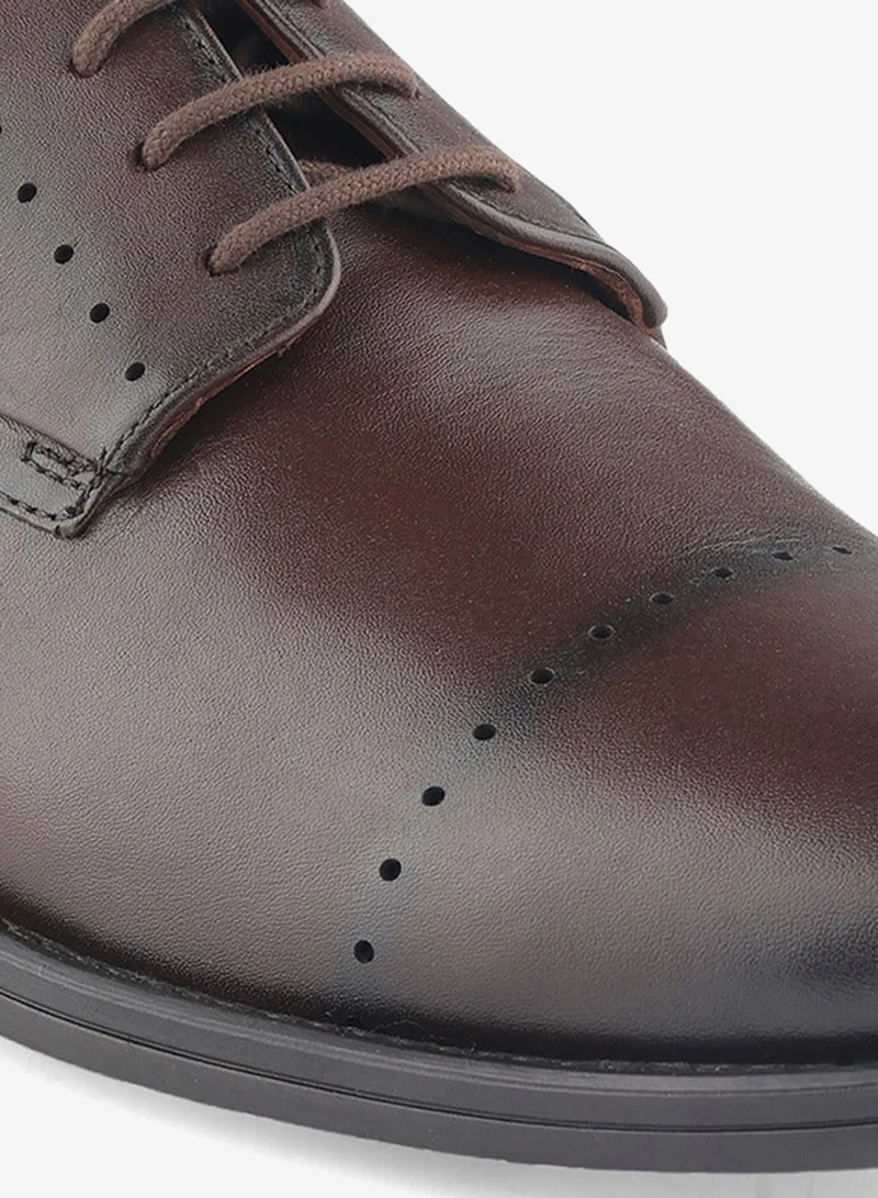 DUCHINI BROWN Men Lace-Up Derby Shoes for Men | Best Price UAE