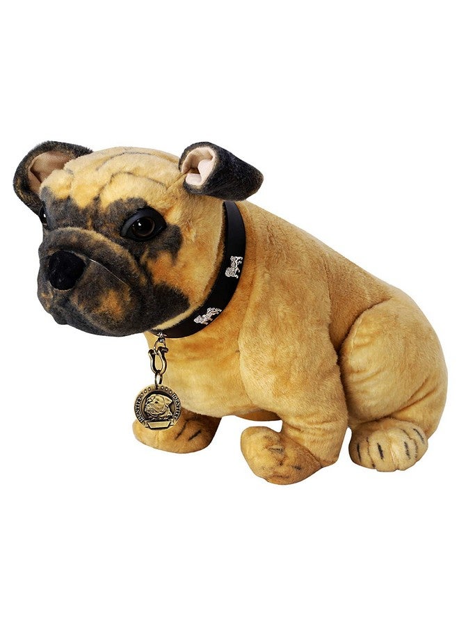 طوق كلب دائري الشكل من النحاس المستورد مع قلادة طوق للكلاب والجراء، تصميم العلامة قد يختلف باللون الذهبي - Image 2