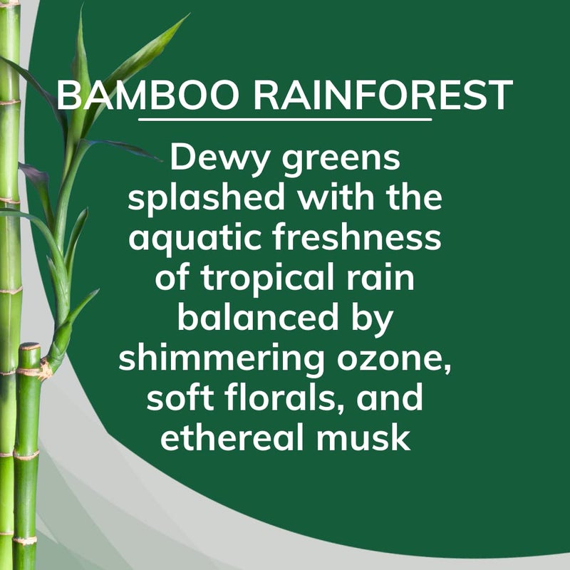 Citrus Magic Solid Air Freshener, Pack of 3, Bamboo Rainforest - Image 3