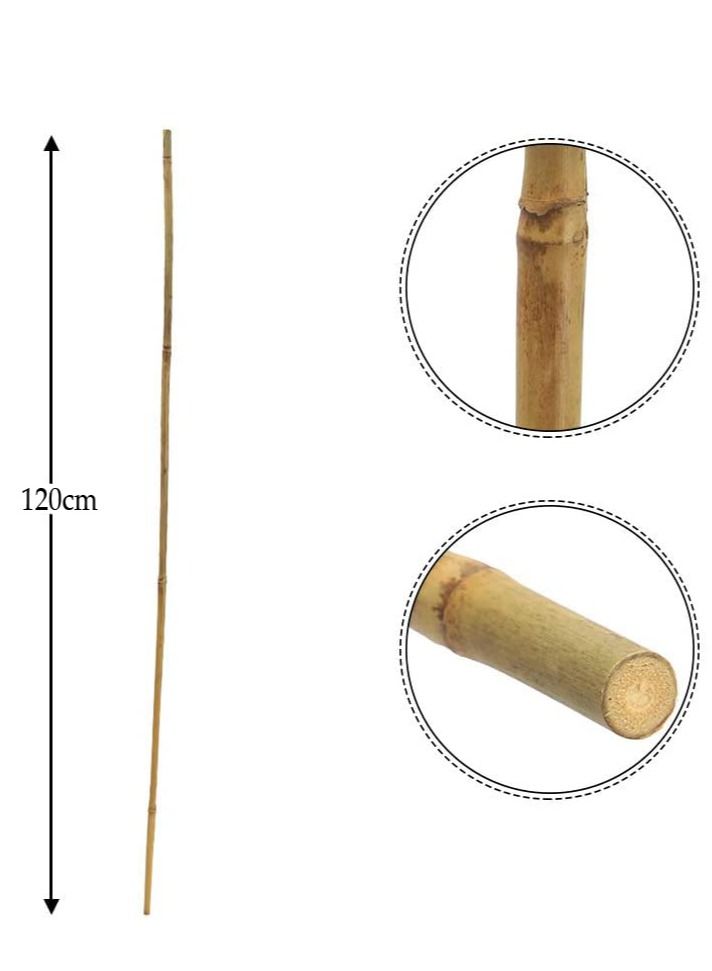 أعمدة الخيزران بيج 2.5x120x2.5cm 2pcs