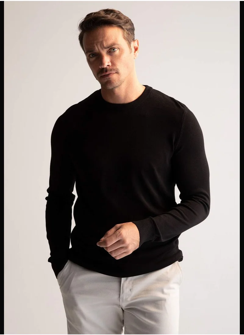 DeFacto Man Regular Fit Tricot Pullover