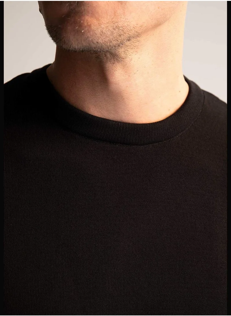DeFacto Man Regular Fit Tricot Pullover