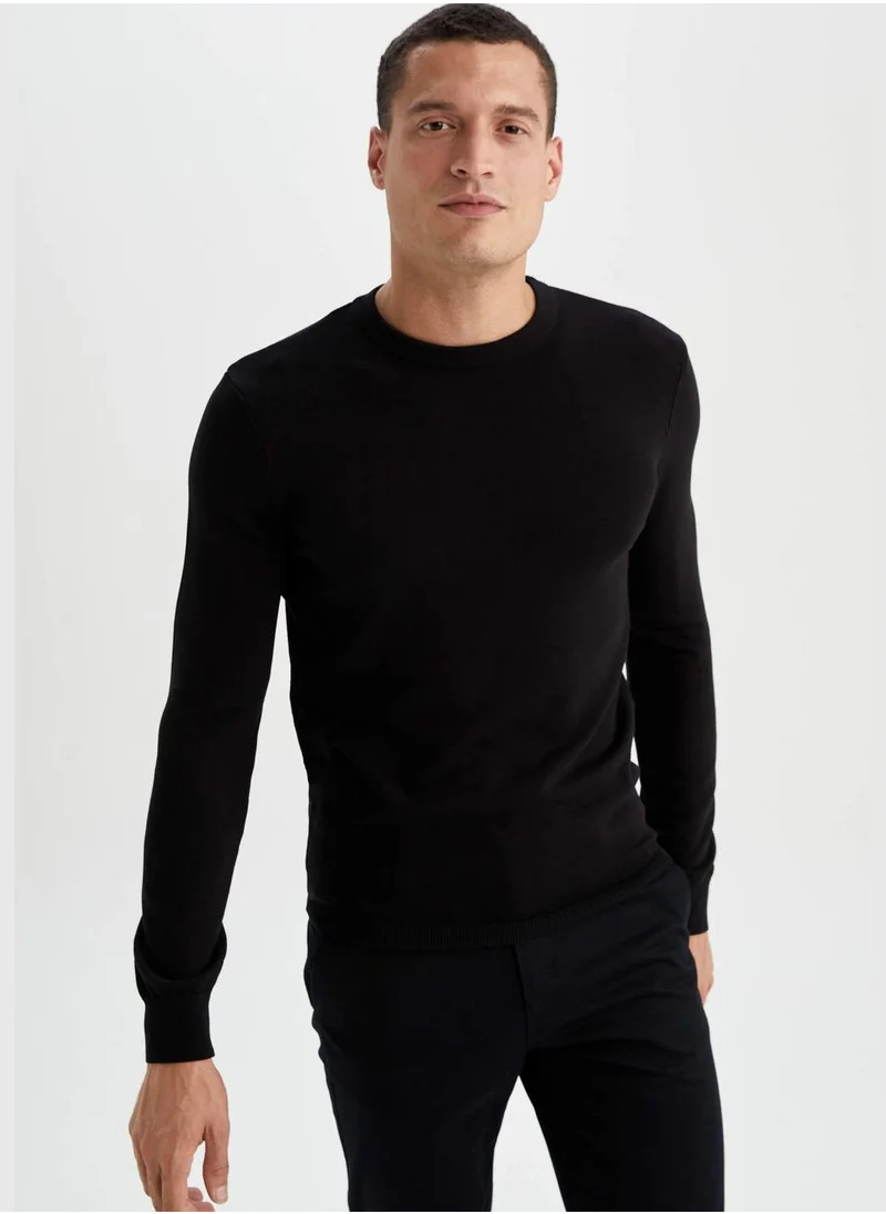 DeFacto Man Regular Fit Tricot Pullover
