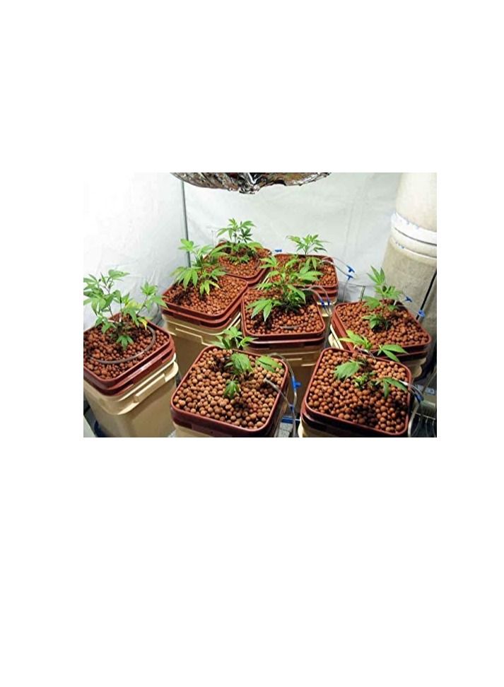 Ritaj Hydroponic Substrate Clay Pebbles (50L) - Image 2