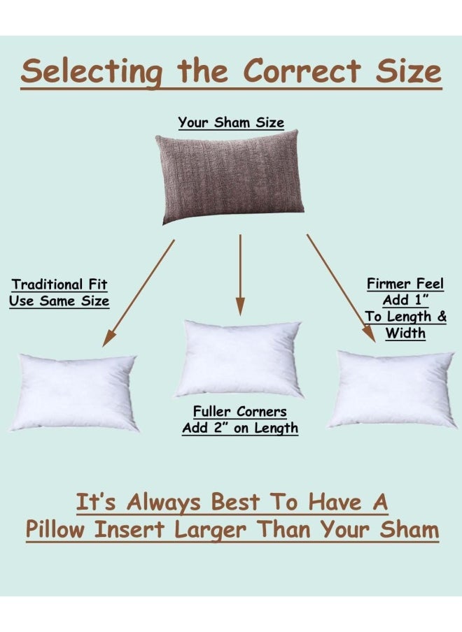 PILLOWFLEX - Polyester Filled Machine Washable 35cm x 90cm 14 X 36 - Inch Pillow Form Insert - Image 1