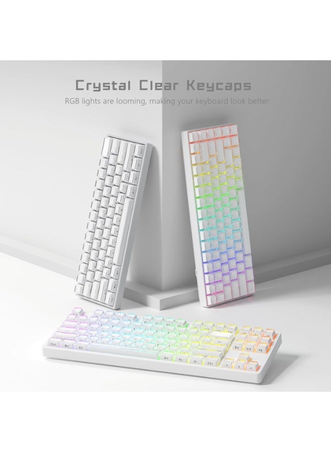 Keycaps - Crystal Jelly for 60 65 75 Printed 113 Key OEM Profile for 6168848798100 Gateron MX Mechanical Keyboards, Cherry, White - Image 3