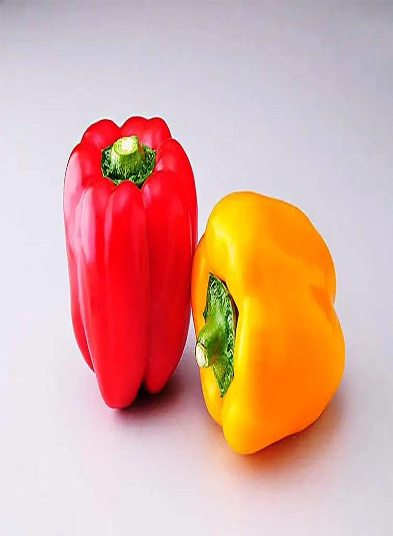 GGOOT 100Stück rote gelbe gemischte Pfeffersamen Heirloom Non GMO Pflanzen im Freien mit der Familie Fügen Sie Freude Atmosphäre hinzu Genießen Sie das Pflanzenvergnügen - Image 2