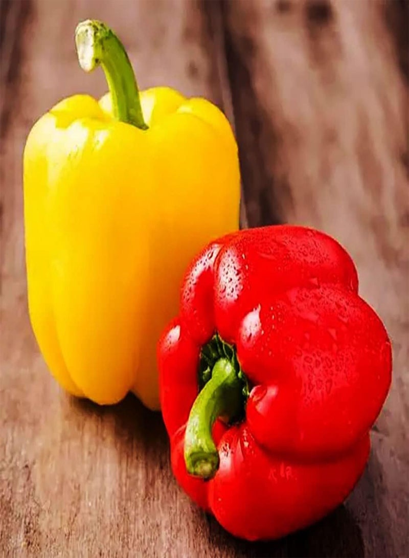 GGOOT 100Stück rote gelbe gemischte Pfeffersamen Heirloom Non GMO Pflanzen im Freien mit der Familie Fügen Sie Freude Atmosphäre hinzu Genießen Sie das Pflanzenvergnügen - Image 1