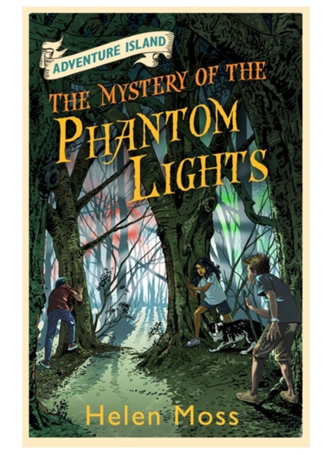 Adventure Island: The Mystery of the Phantom Lights : Book 14 