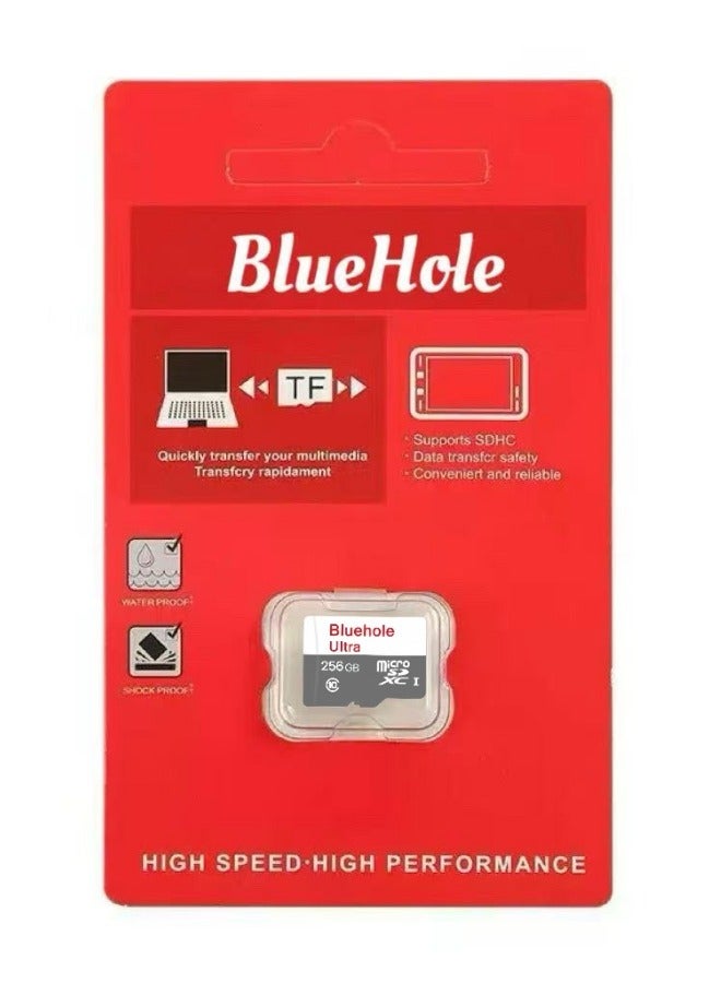 BlueHole Memory card 256 GB - Image 1