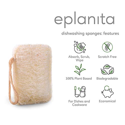 eplanita Natural Dishwashing Sponges (Pack of 6), Kitchen Eco Scrub Scourer, Natural Loofah Plant, Biodegradable and Zero Waste - Image 2
