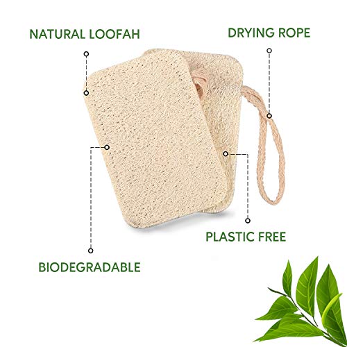eplanita Natural Dishwashing Sponges (Pack of 6), Kitchen Eco Scrub Scourer, Natural Loofah Plant, Biodegradable and Zero Waste - Image 3