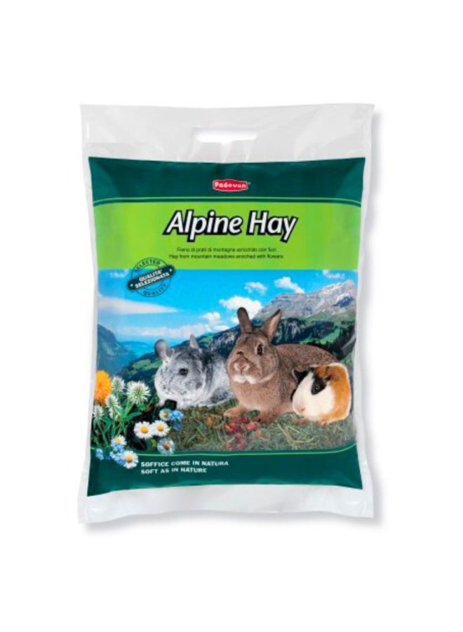 Padovan Alpine Hay for Small Animals, 700g - Image 1