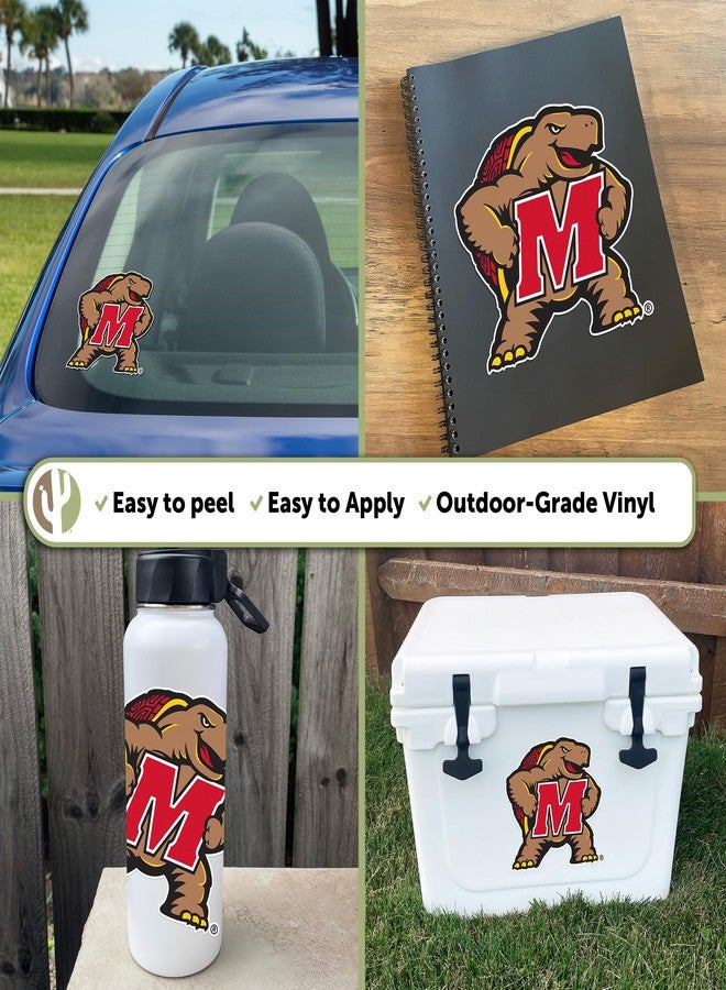 Desert Cactus University of Maryland Sticker Terrapins UMD Terps Vinyl Decal Laptop Water Bottle Car Scrapbook (IND 5) - Image 2