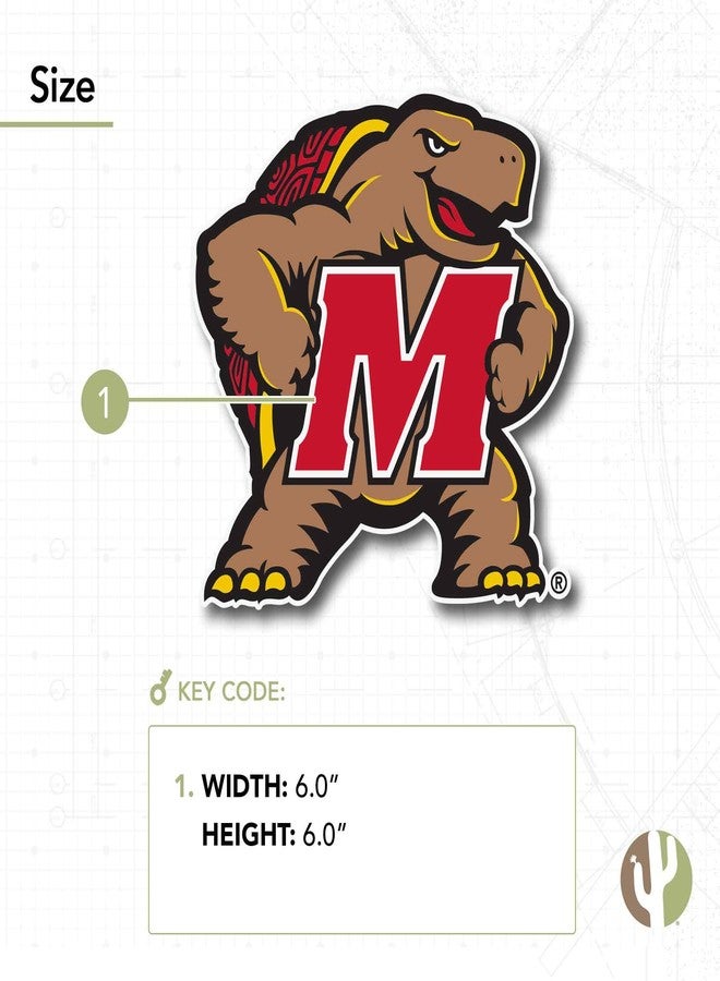Desert Cactus University of Maryland Sticker Terrapins UMD Terps Vinyl Decal Laptop Water Bottle Car Scrapbook (IND 5) - Image 3