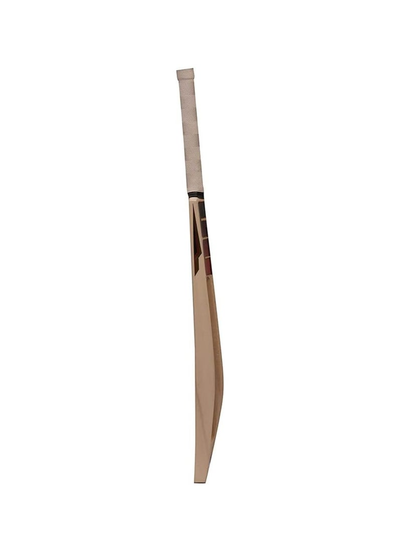 SS KW0022 Kashmir Willow Cricket Bat for Men – Short Handle | Lightweight Scoop Bat with Protective Cover | Leather Ball Play | Full Size | Ideal for Training & Matches