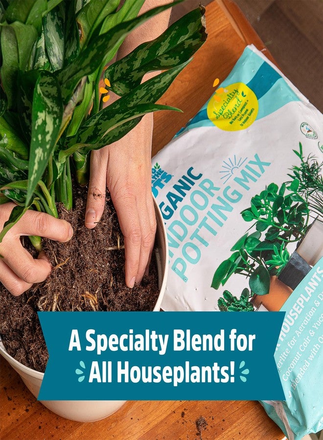 Back to the Roots 100% Organic Indoor Potting Mix (Value 12 Quart) | Promotes Healthy Houseplant Growth| Made in The USA - Image 3