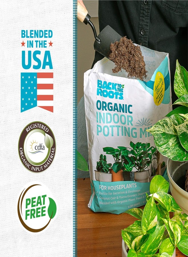 Back to the Roots 100% Organic Indoor Potting Mix (Value 12 Quart) | Promotes Healthy Houseplant Growth| Made in The USA - Image 2