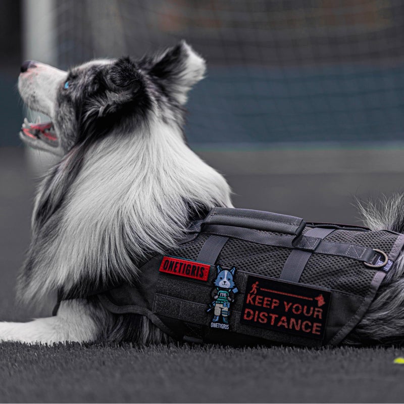 OneTigris Tactical Dog Harness for Medium Dogs No Pull Breathable Military Dog Molle Vests with Handles, Service Dogs Vest Harness for Walking Hiking Training - Image 4