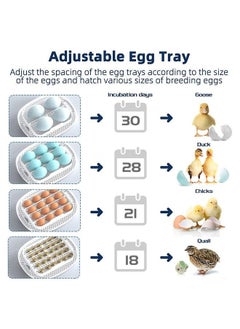 Egg Incubator 16 Eggs Incubators for Hatching Eggs with Automatic Egg Turning, Egg Candler and Automatic Water Adding for Hatching Chickens Ducks Geese Quails